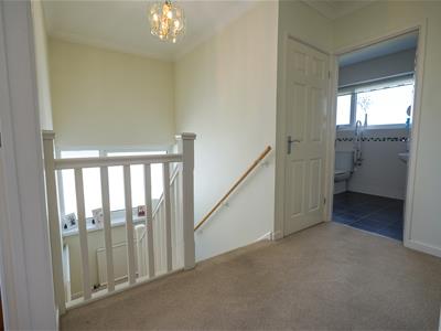Picture 24